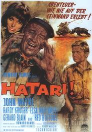 哈泰利,探索东方智慧与西方哲学的交融之旅